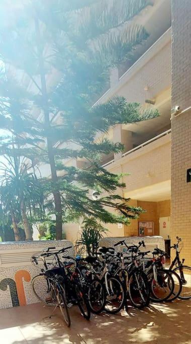 Apartamento Oropesa Del Mar- Marina D'Or- Magic World Vt30371Cs 外观 照片